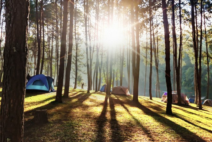 Zelte auf einem Abhang zwischen Bäumen, © TMN