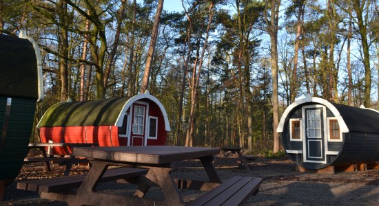 Drei Schlaffässer stehen mitten in einem Wald., © Camping Hümmlinger Land / Albers