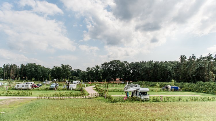 Das Bild zeigt den Stellplatz des Campingparks auf dem einige Wohnwagen und Wohnmobile stehen., © FBCamping / Elena Bokelmann
