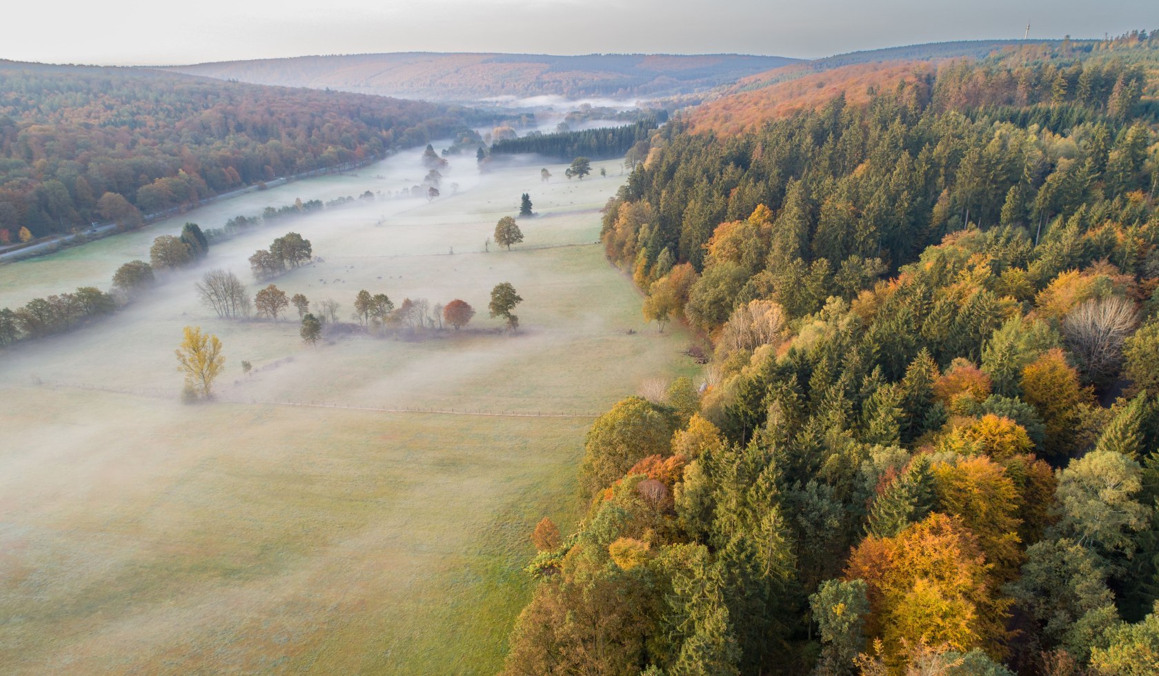 Solling, Weserbergland Wälder erstrahlen bunt durch die Verfärbung im Herbst, © Jürgen Borris