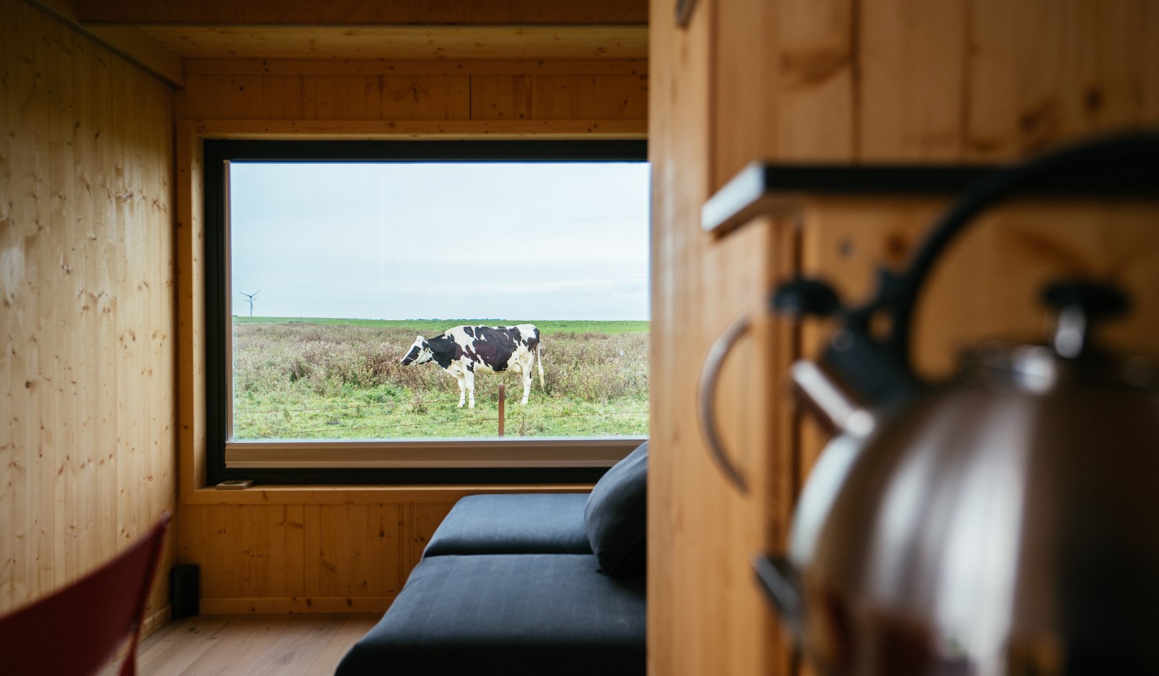 Blick aus dem Fenster, wo eine Kuh steht, © TourismusMarketing Niedersachsen GmbH