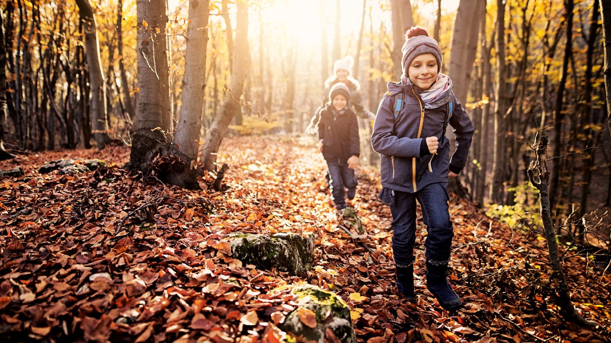 Kinder rennen durch Wald über heruntergefallene Blätter, © TMN