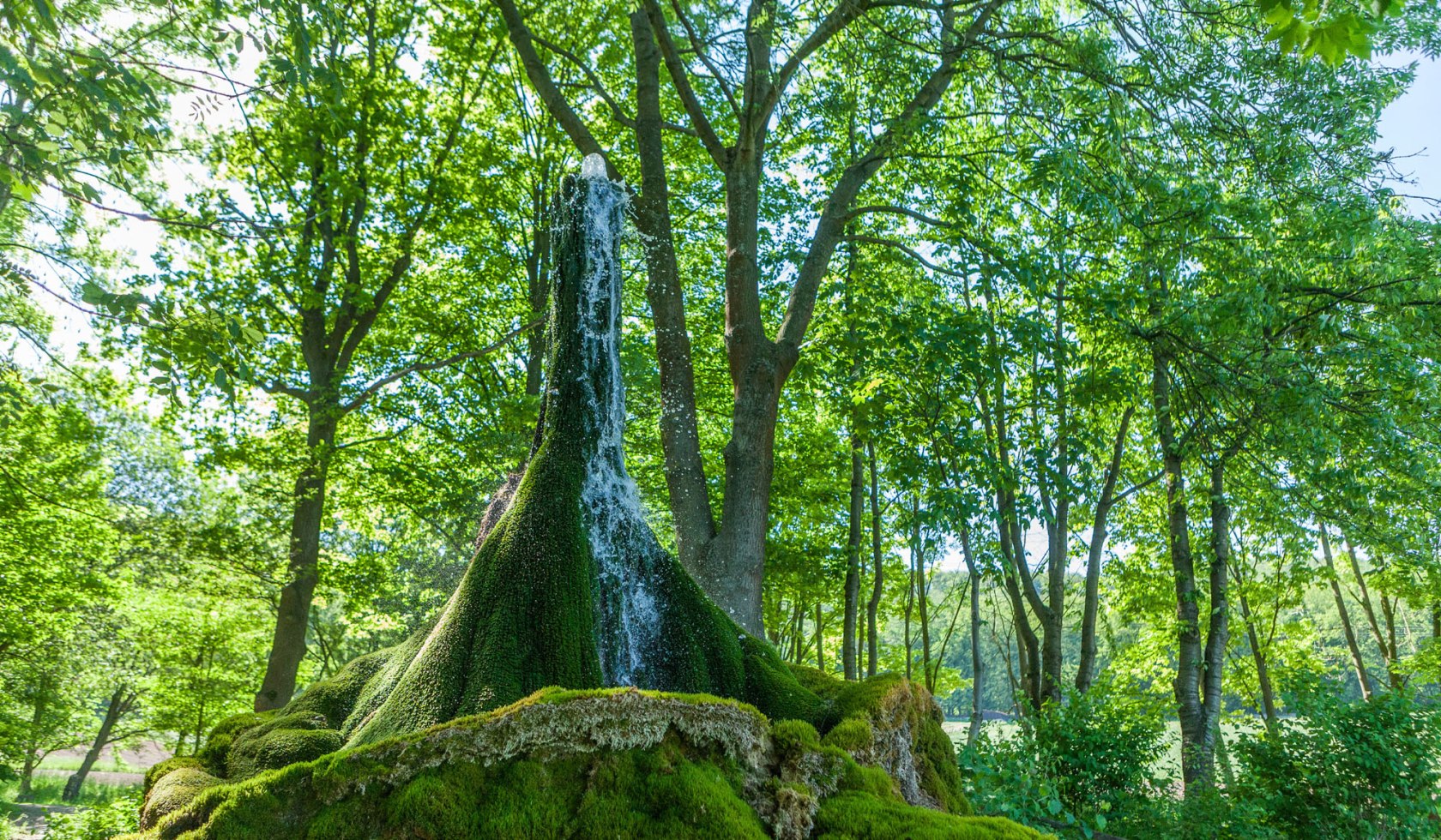 Wasserbaum Ith-Hils Weg, © Tourismuszentrale östliches Weserbergland