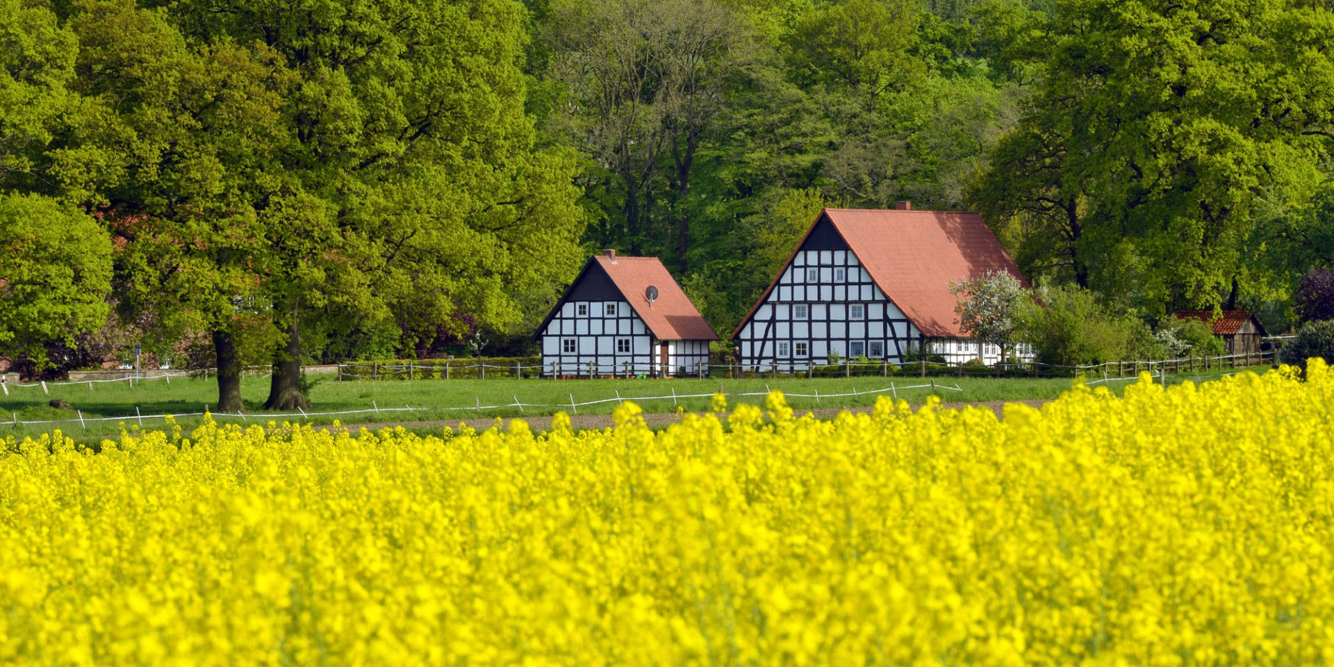 Hügelige Landschaft mit Fachwerkhäusern am Wiehengebirge bei Ostercappeln-Venne, © Tourismusverband Osnabrücker Land e.V./ Dieter Schinner