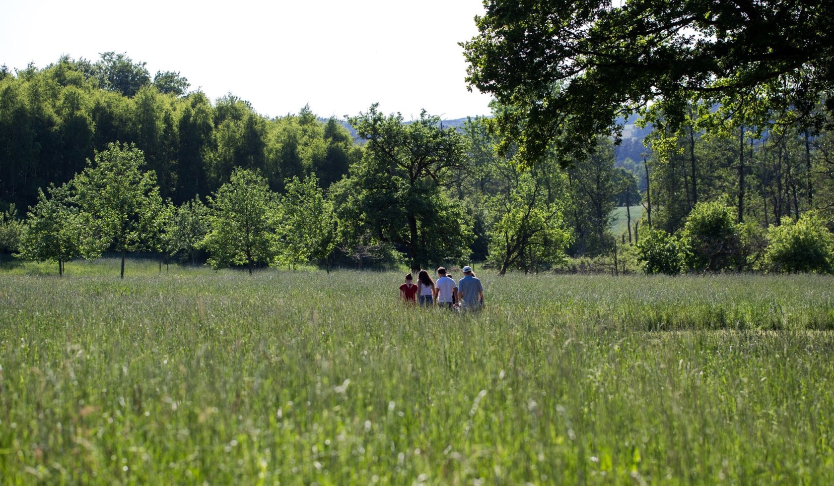 Kleine Besuchergruppe läuft über Wiese, © Barfußpark Lüneburger Heide / Karsten Eichhorn