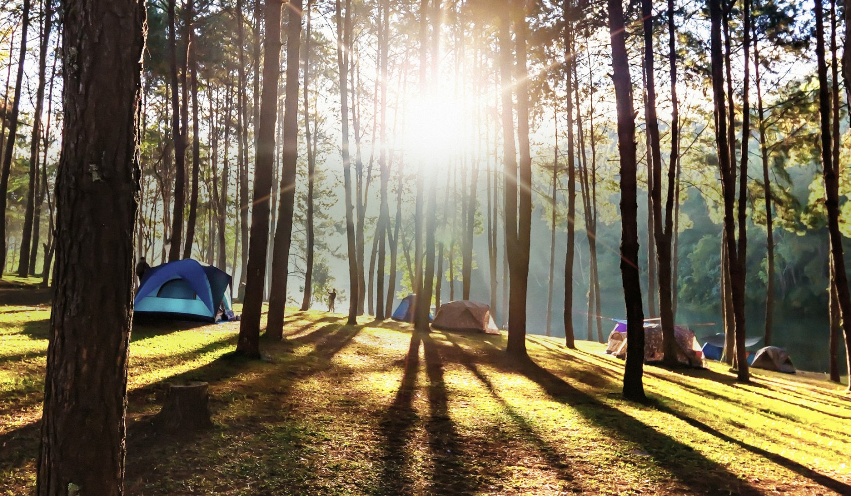 Zelte auf einem Abhang zwischen Bäumen, © TMN