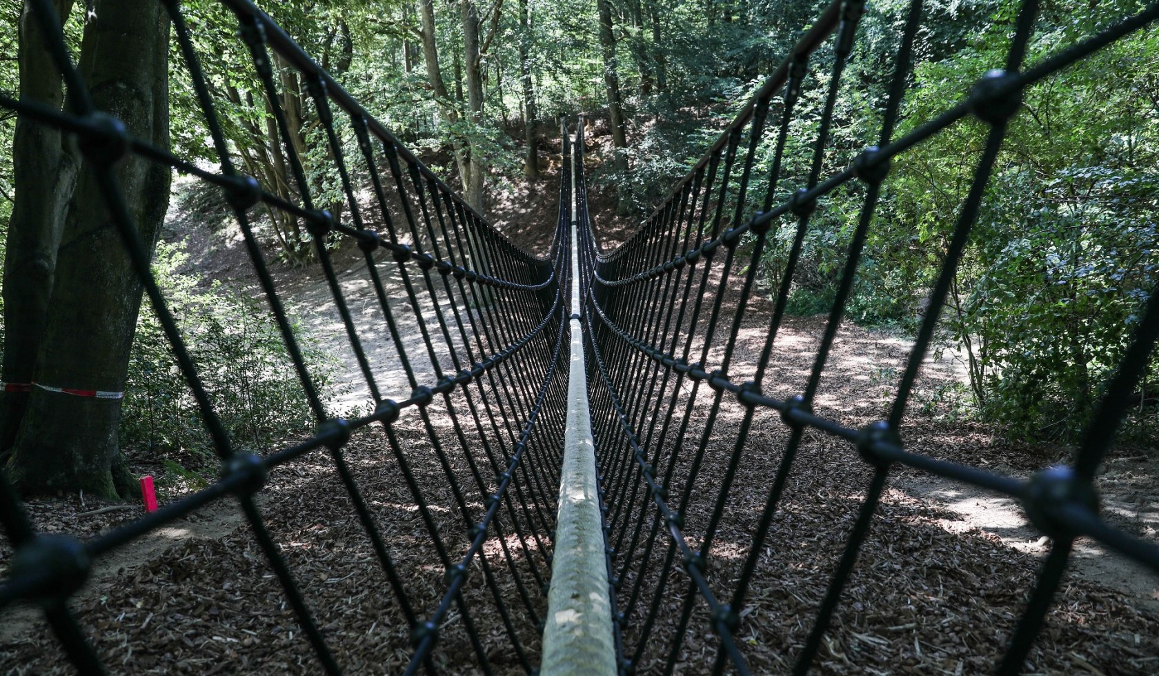 Blick auf eine Hängebrücke im Wald aus der Ich-Perspektive, © Barfußpark Lüneburger Heide / Karsten Eichhorn
