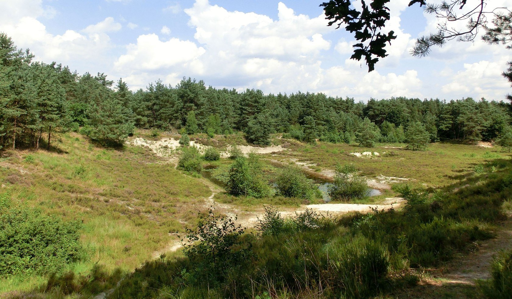 Das Naturschutzgebiet mit Sandkuhlen und Steinfeldern., © Touristikverband Landkreis Rotenburg (Wümme)  e.V. / Udo Fischer