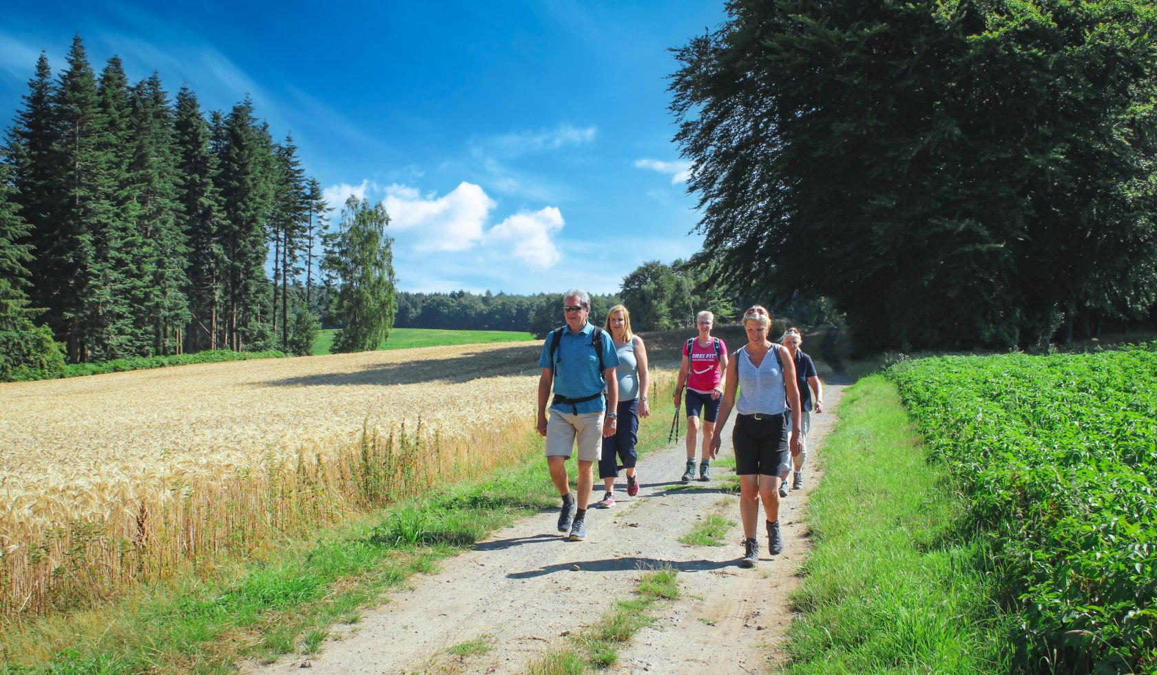 Wandergruppe, Wandern auf Rezept, © Hasetal Touristik GmbH