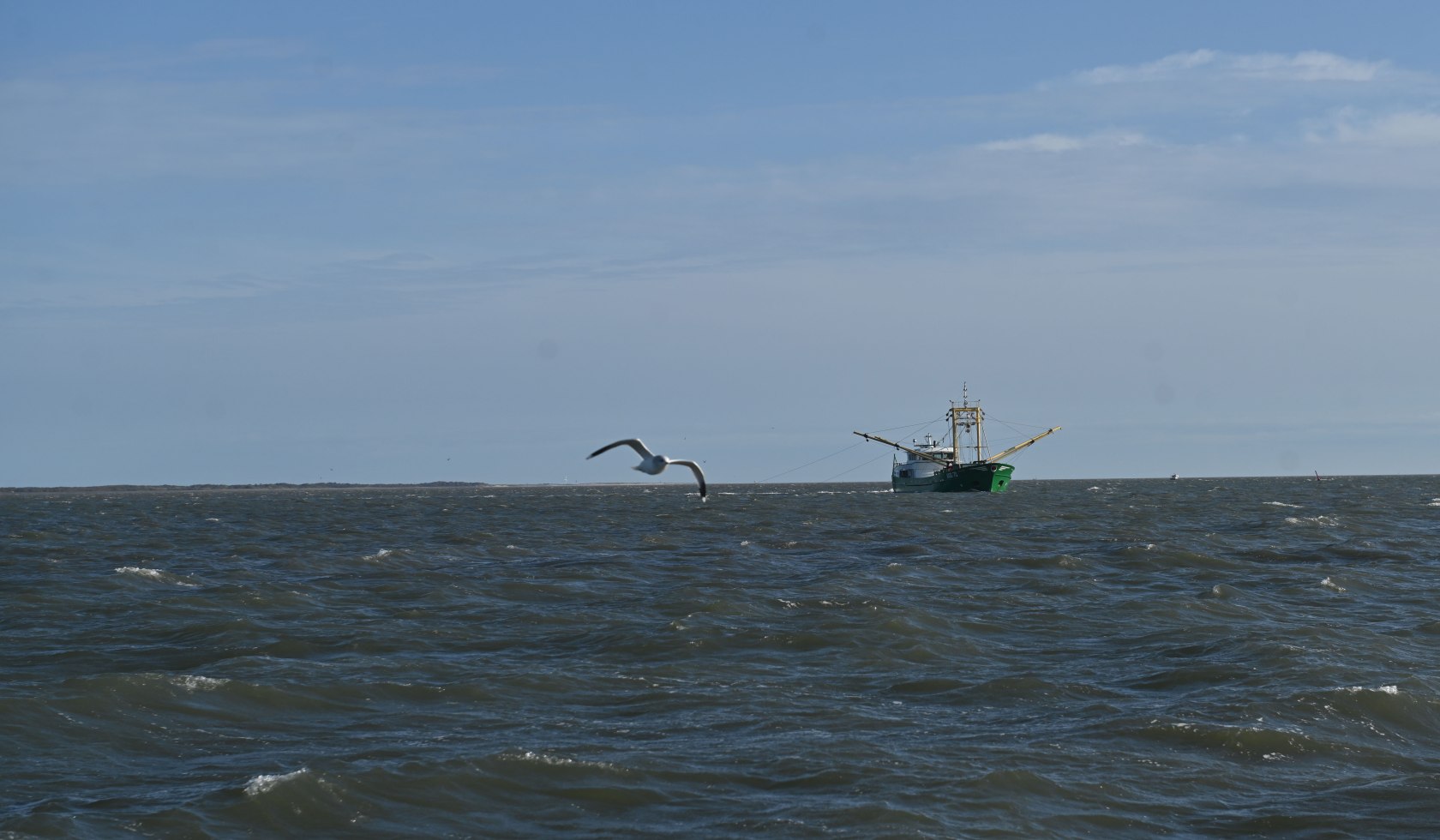 Krabbenkutter auf der Nordsee, der von einer Möwe umkreist wird, © TourismusMarketing Niedersachsen GmbH/ Henning Scheffen