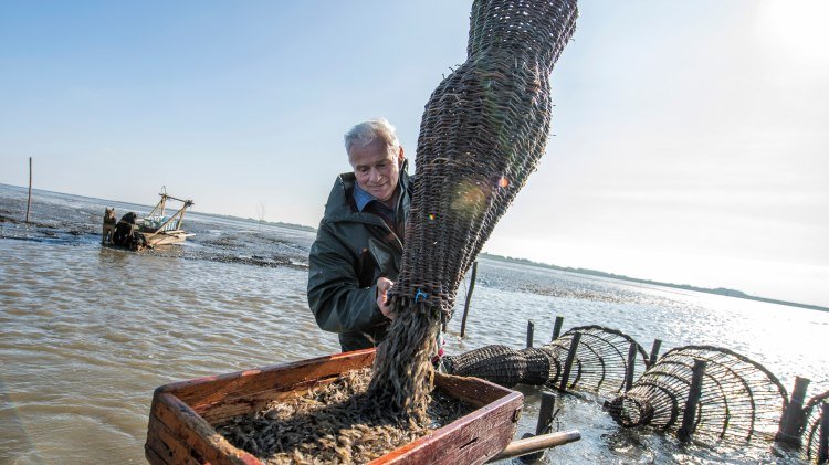 der letzte Hundeschlittenkrabbenfischer Europas Erhard Djuren bei Wremen, © TMN/Florian Trykowski