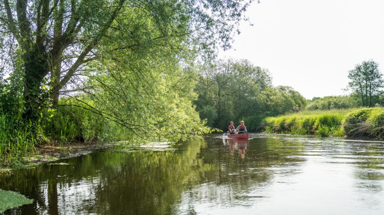 Paar fährt mit einem Kanu auf der Ilmenau in der Lüneburger Heide, © Lüneburger Heide GmbH / Dominik Ketz