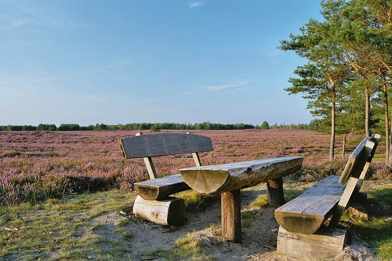 Rastplatz in der blühenden Nemitzer Heide, © Nemitzer Heide Touristik