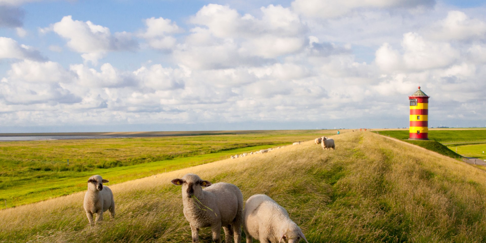 Pilsumer Leuchtturm und Schafe auf dem Deich, © Fotolia / greenpapillon