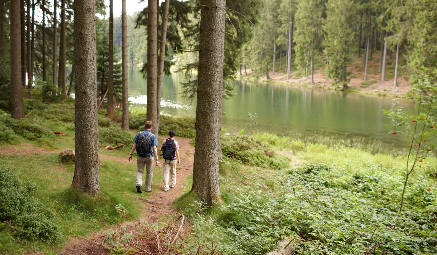 Pärchen wandert im Wald auf einen See zu, © Harzer Tourismusverband / Marcus Gloger
