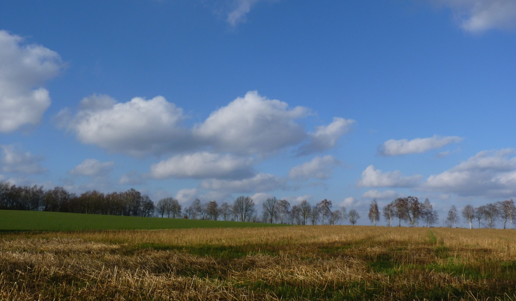 Stoppelfeld auf dem Nordpfad Osterberg unter blauem Himmel, © TouROW