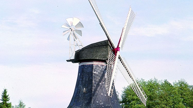 Windmühle Hoyerhagen, © Mittelweser-Touristik GmbH