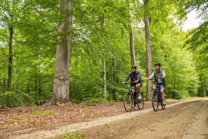 Fahrradtour im Wald, © Lüneburger Heide GmbH