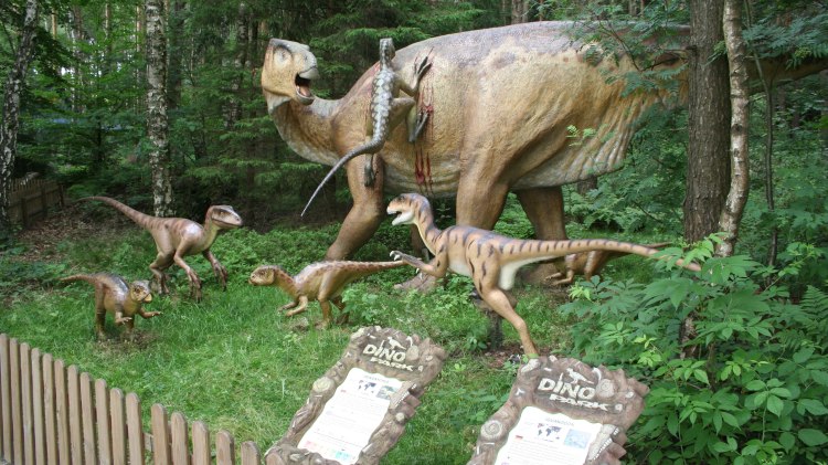 Dinosaurier-Park Münchehagen, © Mittelweser-Touristik GmbH