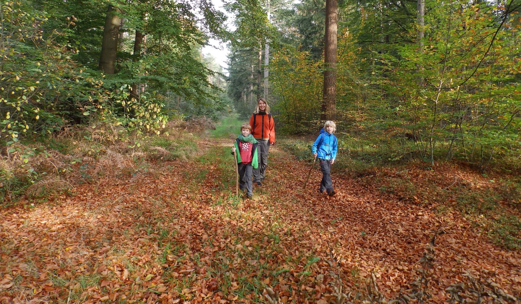 Eine Mutter wandert mit ihren beiden Kindern entlang eines Waldweges auf dem Nordpfad Eichholz und Franzhorn., © Touristikverband Landkreis Rotenburg (Wümme)