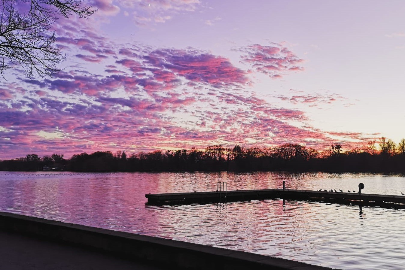 Maschsee in Hannover am Abend, © Little Travel Society / Lucia Vaccaro Notte