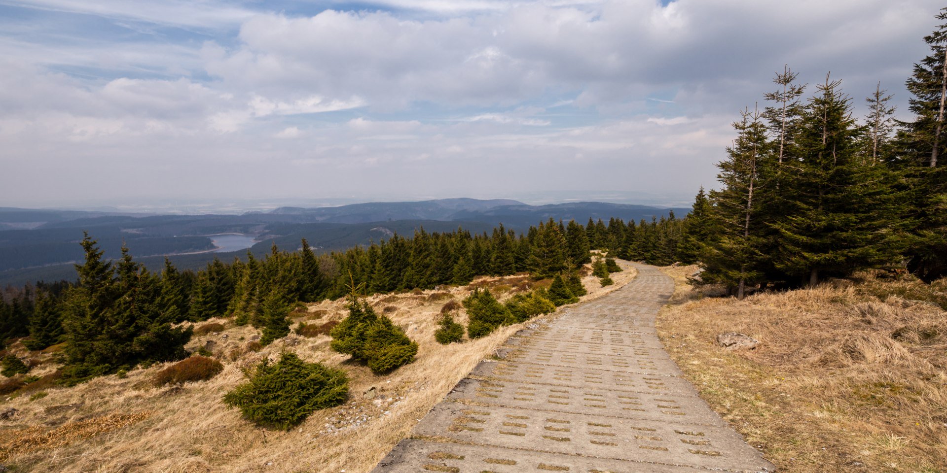 Kolonnenweg am Grenzweg im Harz, © Adobe Stock / Oliver Henze