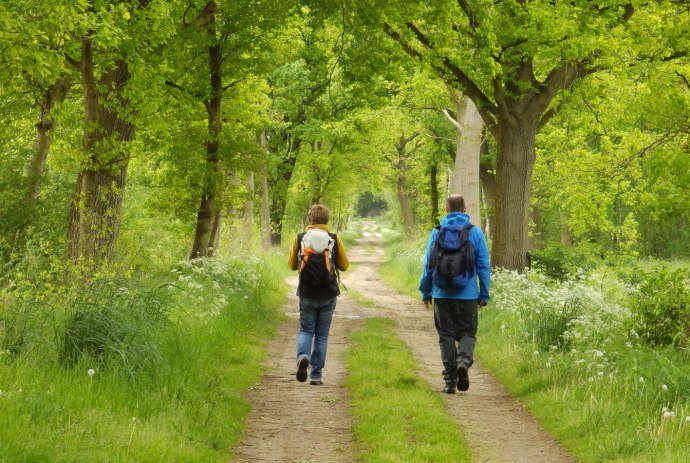 zwei Wanderer auf dem Nordpfad Hinterholz und Hohenmoor, © Touristikverband Landkreis Rotenburg (Wümme) e.V.