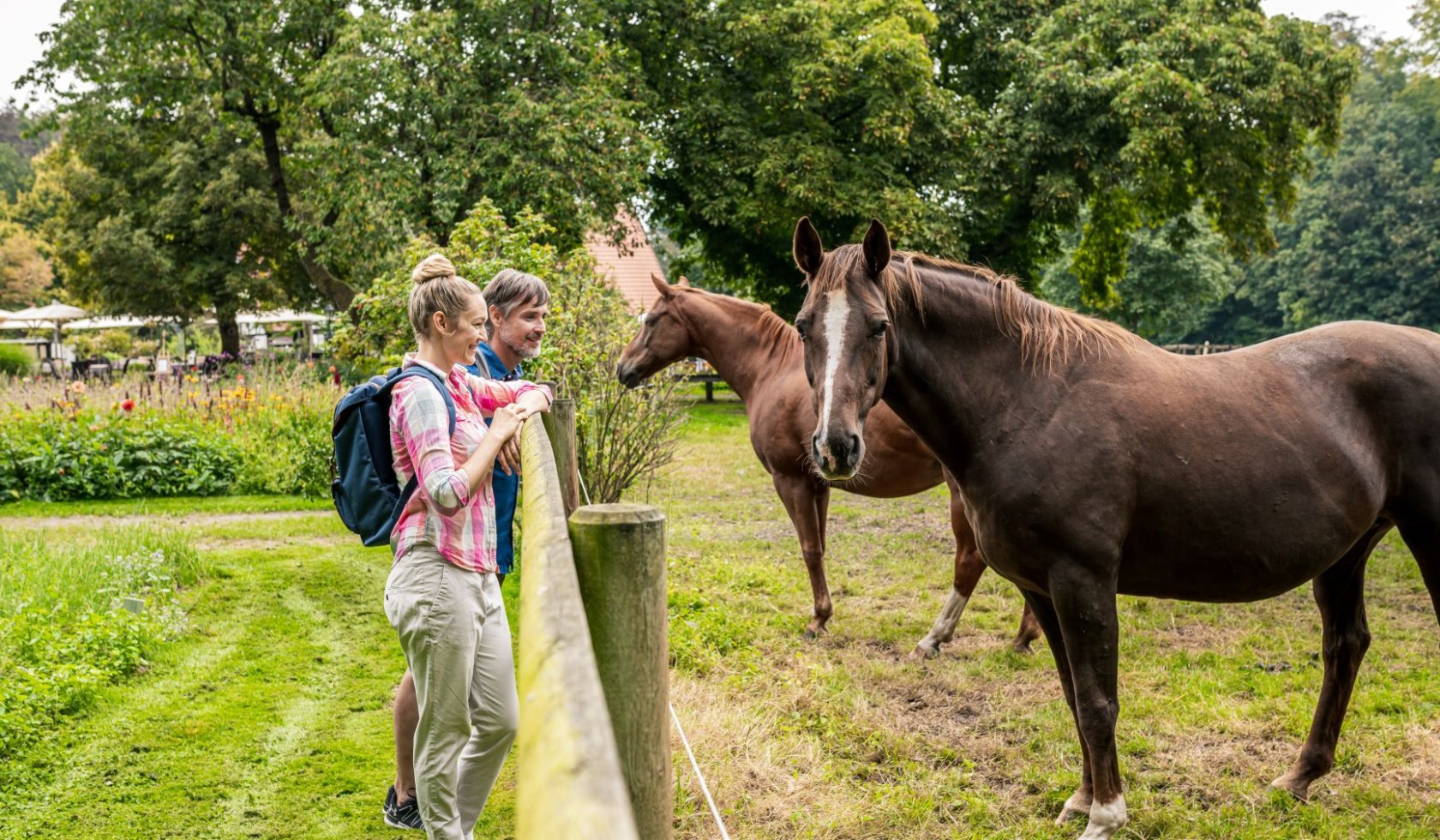 Begegnung mit Pferden in der Region Mittelweser, © TourmusMarketing Niedersachsen GmbH