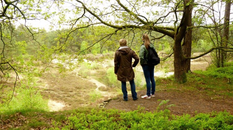 Zwei Wanderer stehen an der Sandkuhle Steinfelder Holz., © Touristikverband Landkreis Rotenburg (Wümme)  e.V. / Udo Fischer