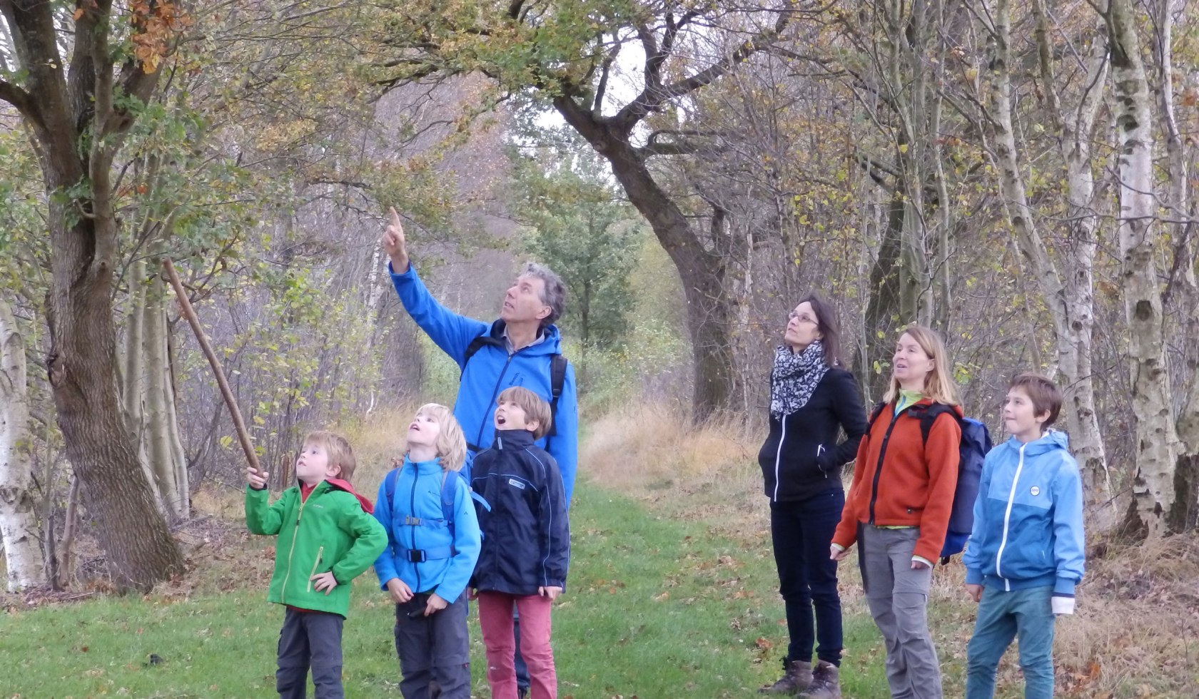 Die Wanderfamilie entdeckt etwas im Baum und blickt auf., © Touristikverband Landkreis Rotenburg (Wümme)