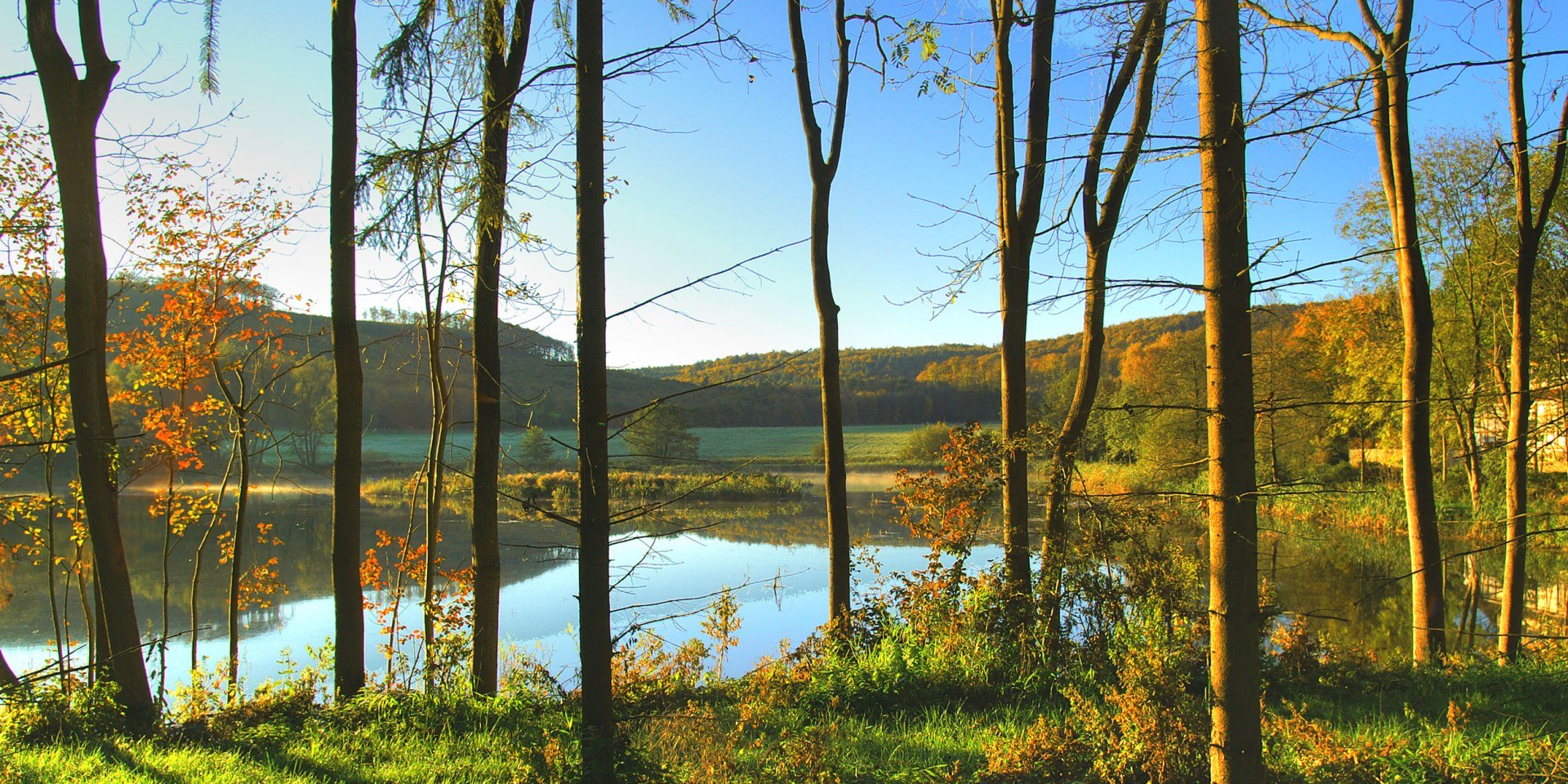 Herbststimmung im Reitlingstal, © Naturpark Elm-Lappwald/ Ulrich Scheithauer