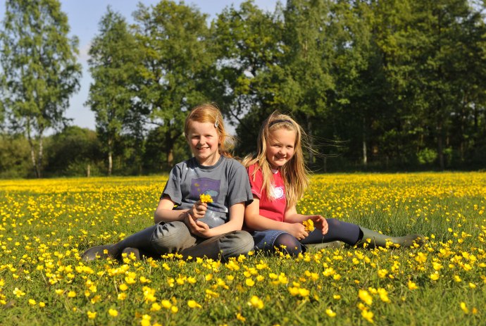 Kinder auf der Blumenwiese, © Ferienhof Garbert