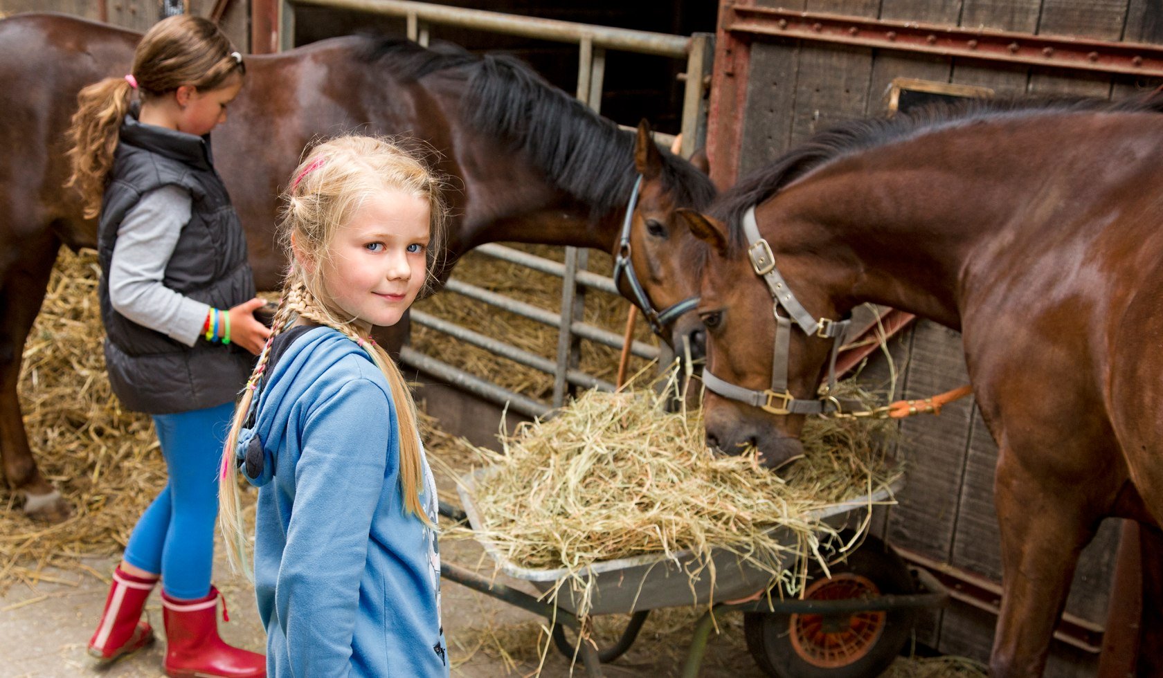 Mädchen und Pferde in der Stallgasse, © www.andreas-baum.com