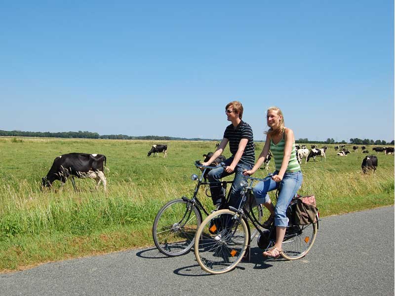Fahrradfahrer, © Stadt Wittmund