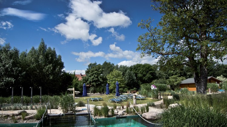 Blick auf den Saunagarten mit Liegen und Pool im Vordergrund, © Göttinger Sport und Freizeit GmbH & Co. KG / BASTA
