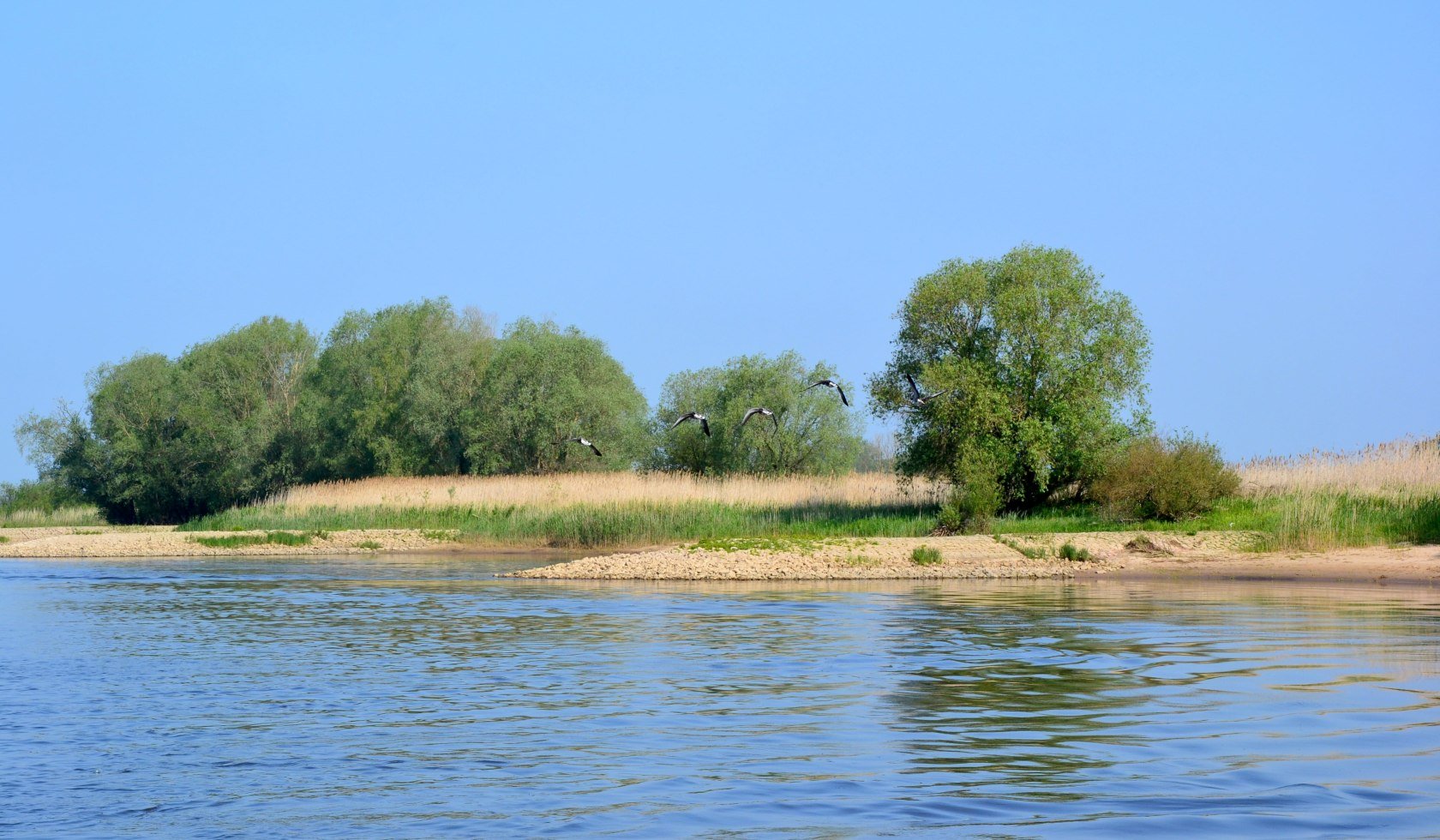 Blick auf das Ufer der Elbe bei Hitzacker , © TMN/Marketingbüro Wendland.Elbe