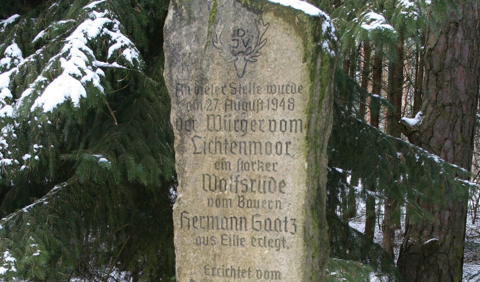 Der Gedenkstein für den &quot;Würger vom Lichtenmoor&quot; in der Schotenheide., © Mittelweser-Touristik GmbH