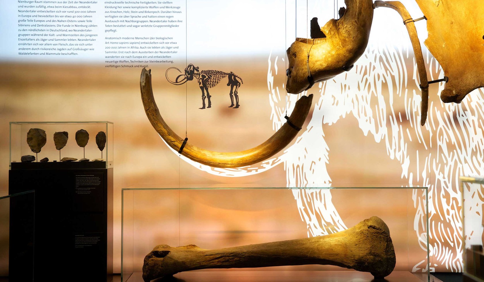 Installation eines Mammuts im Museum Nienburg, © Museum Nienburg/ hgb-Visuelle Kommunikation