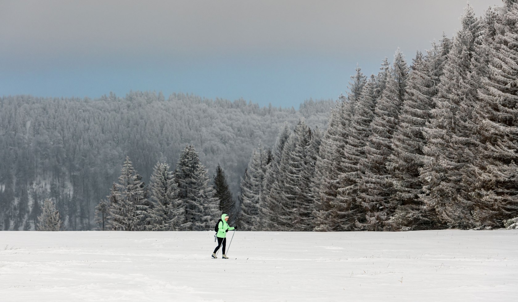 Langläufer fährt durch die Harzer Winterlandschaft, © Markus Tiemann