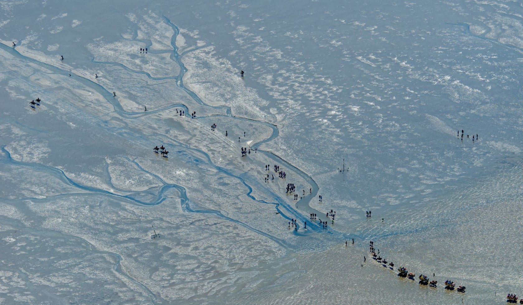 Luftaufnahme: Wattwanderung durch das Wattenmeer, © Martin Elsen