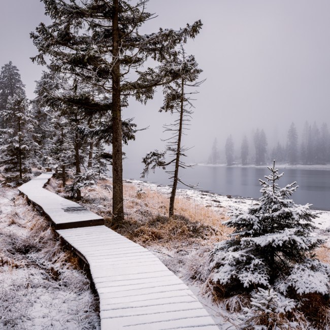 eingeschneiter Bohlenweg und See im Harz , © TMN/Markus Tiemann