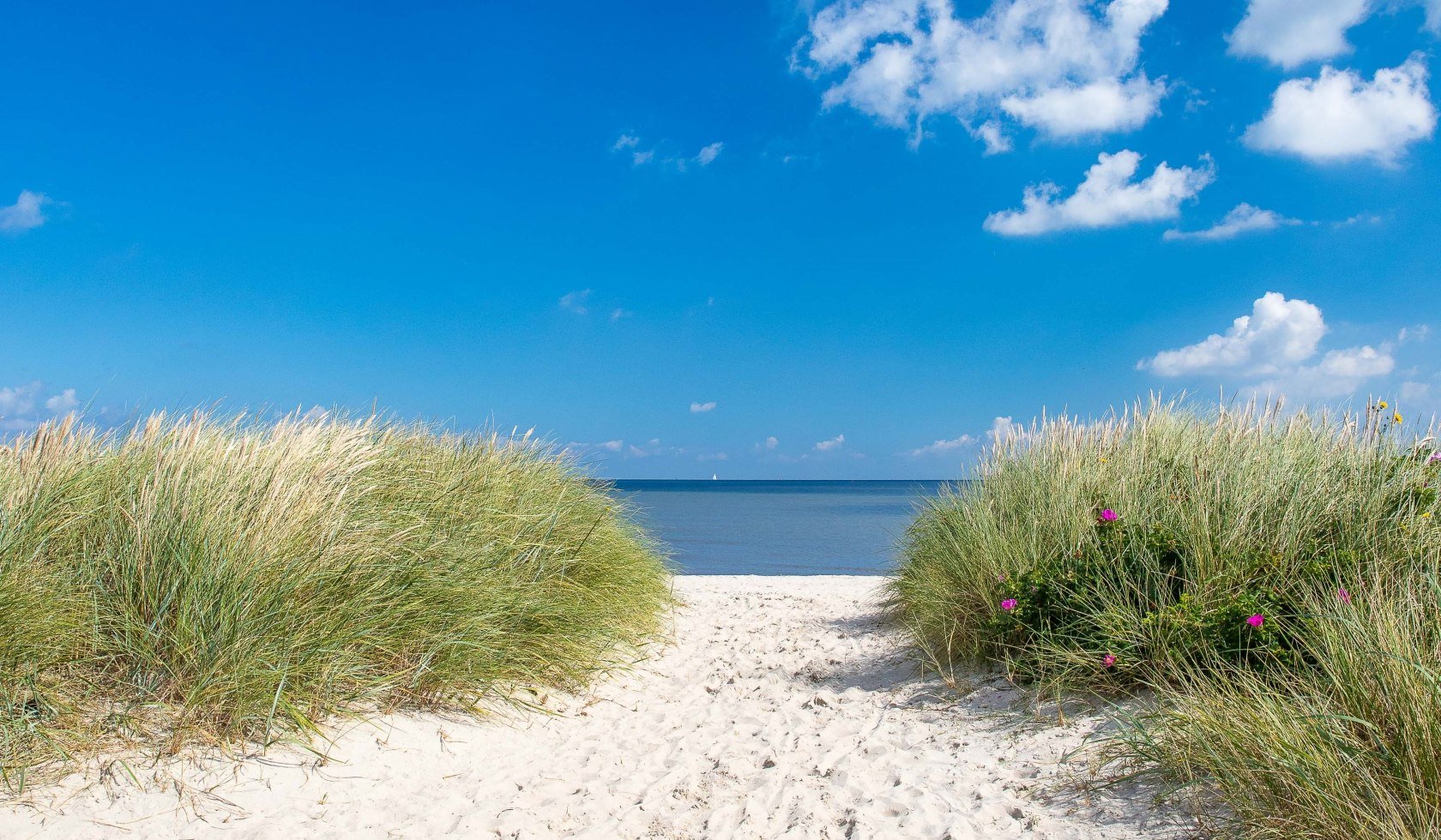 Strand und Dünen im Wangerland, © Friesland Touristik Gemeinschaft / Stöver