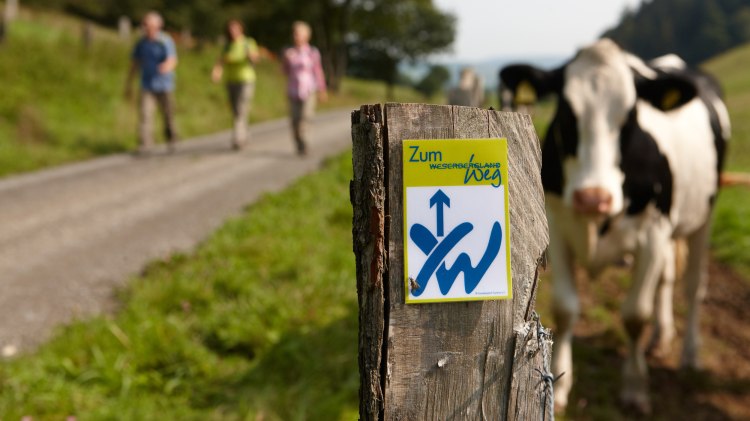 Wanderer auf dem Weserberglandweg mit Wegemarkierung im Vordergrund, © Weserbergland Tourismus e.V. / Markus Gloger