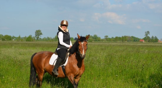 Mit dem Pferd in Ostfriesland unterwegs, © www.ostfriesland.travel