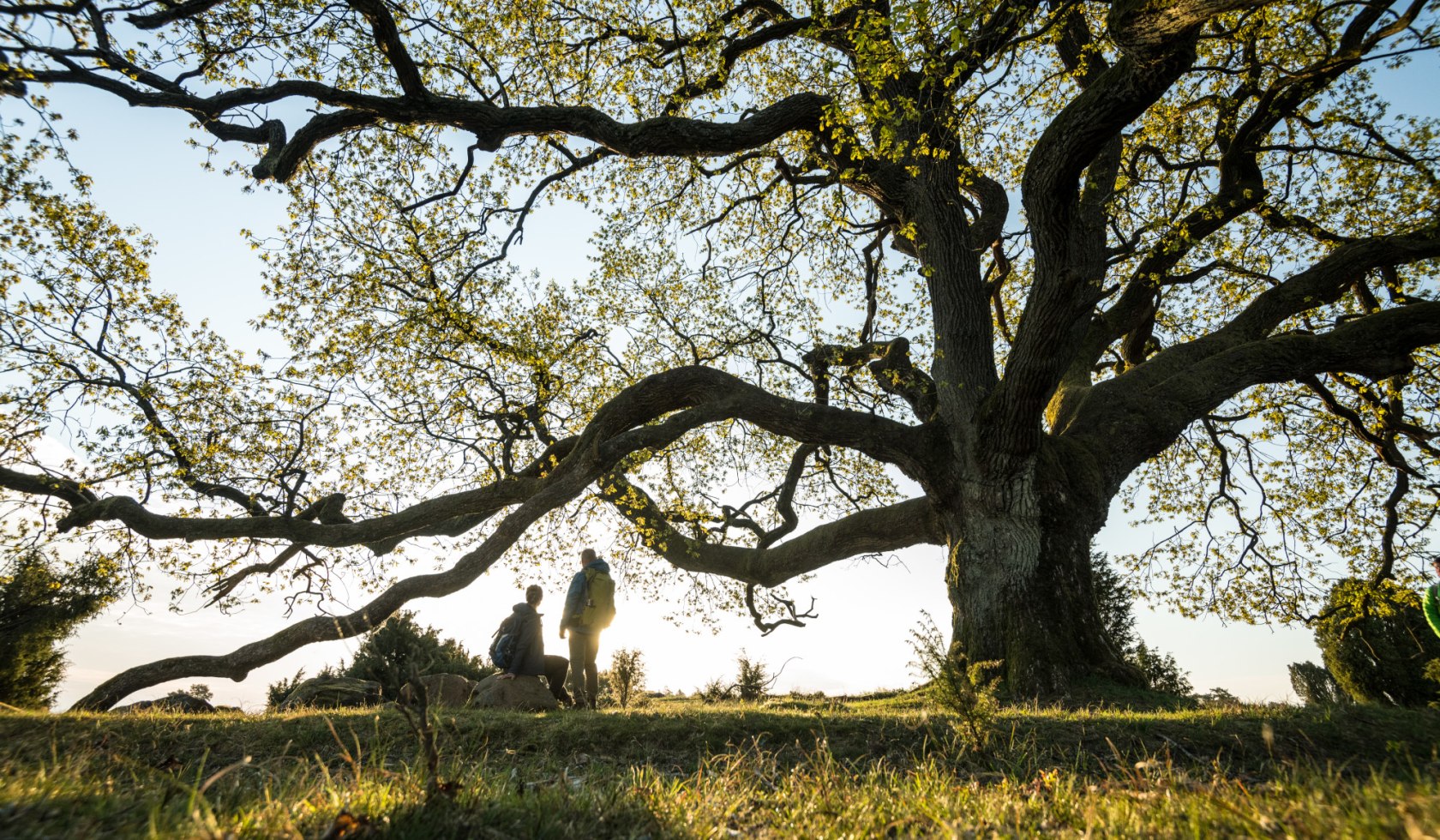 zwei Wanderer machen eine Pause an einem Baum im Totengrund in der Lüneburger Heide, © Lüneburger Heide GmbH