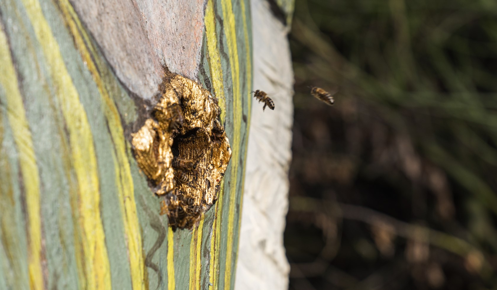 Figurenbeute mit Hohlraum als Rückzugsort für Bienen, © TourismusMarketing Niedersachsen GmbH