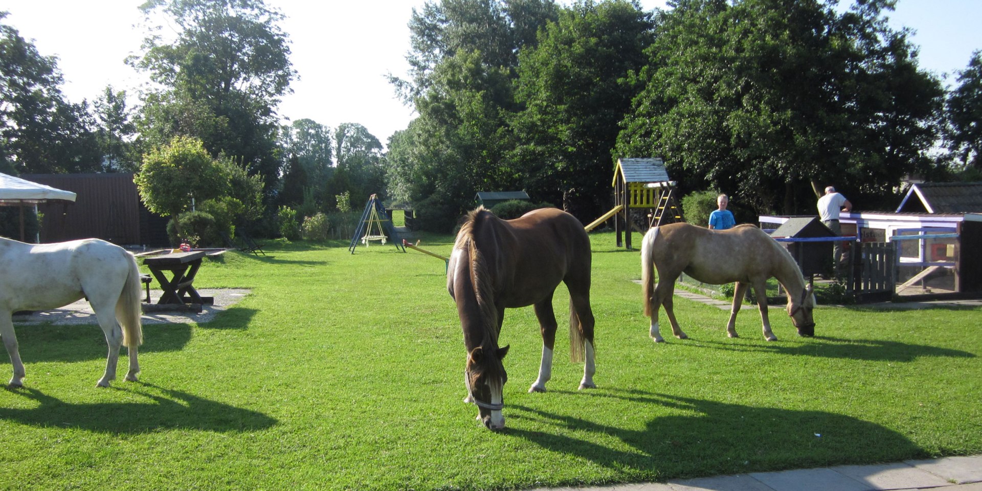 Ponys im Streichelzoo vom Kurhotel Strandhof, © TourismusMarketing Niedersachen GmbH