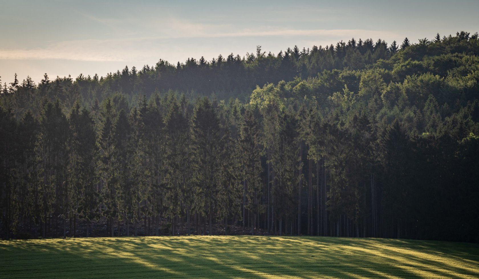 Wald und Feld mit Licht und Schatten im Geopark TERRA.vita bei den Rehquellen in Dissen, © TMN/Markus Tiemann