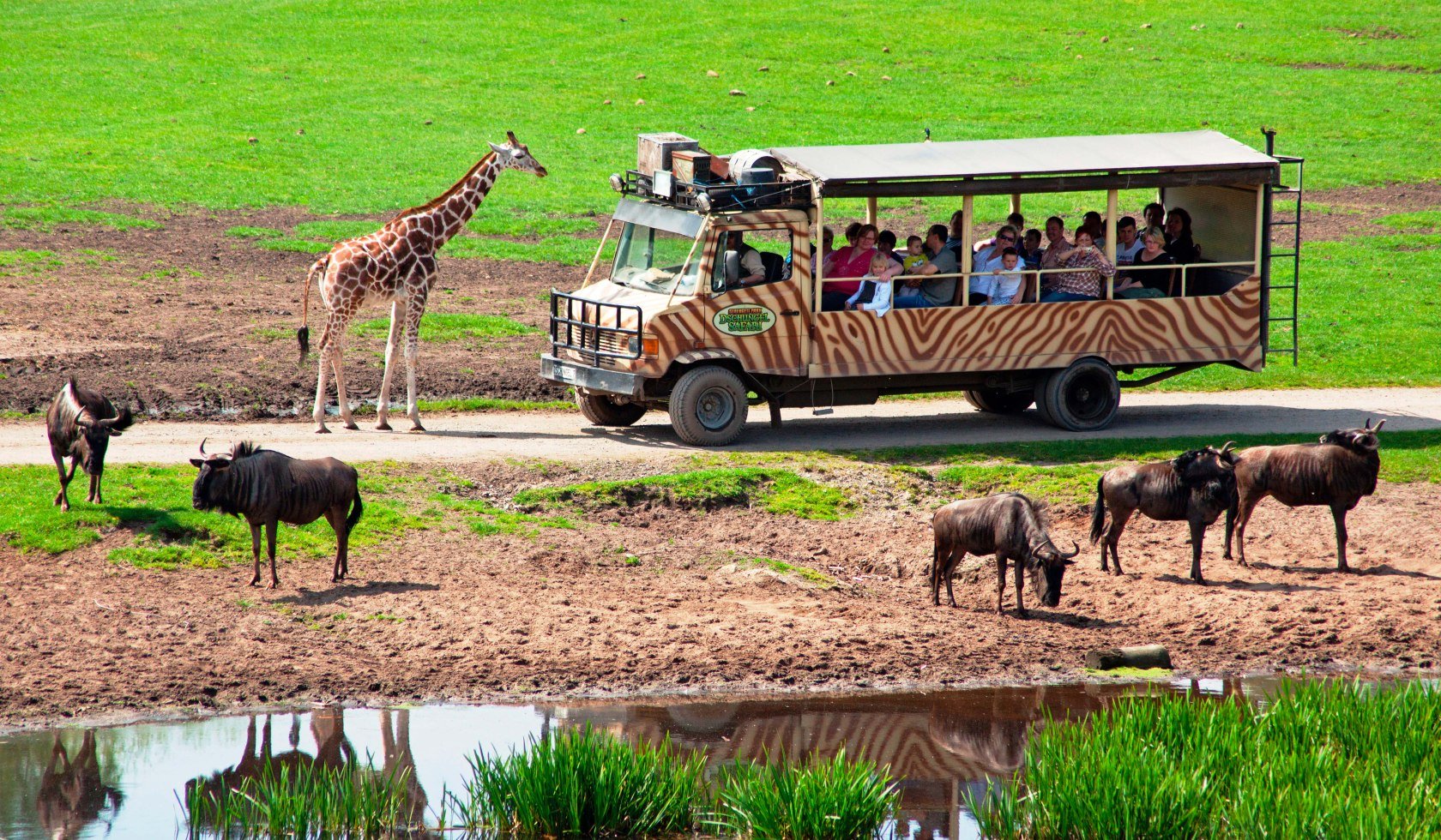 Dschungel Safari Tour im Serengeti-Park Hodenhagen, © Serengeti-Park Hodenhagen