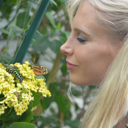 Eine Frau betrachtet zwei Schmetterlinge, die auf einer Blume sitzen.